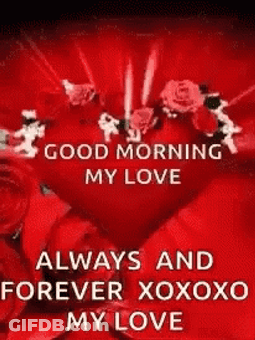 Good Morning My Love In Sign Language GIF