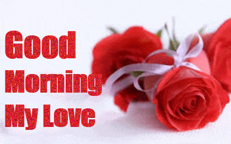 Good Morning My Love Romantic Roses GIF