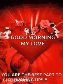 Good Morning My Love GIF