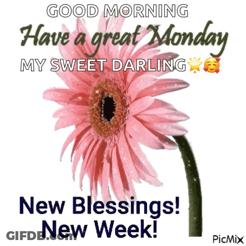 Good Morning My Sweet Darling Pink Flower Blessings GIF
