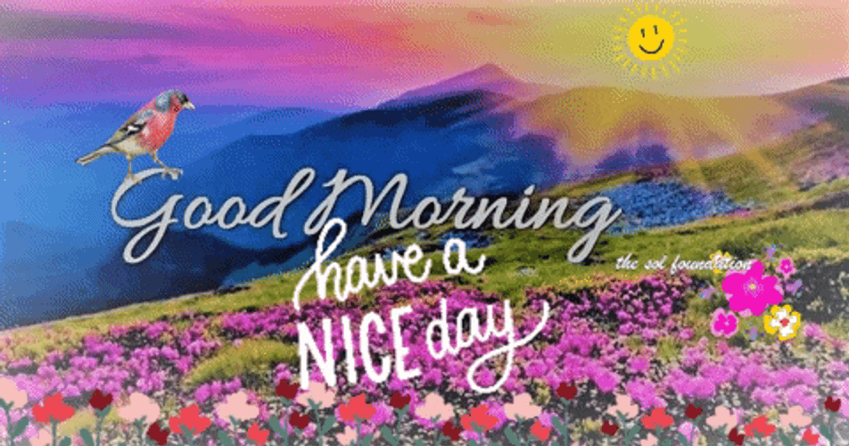 Good Morning Nice Butterflies GIF