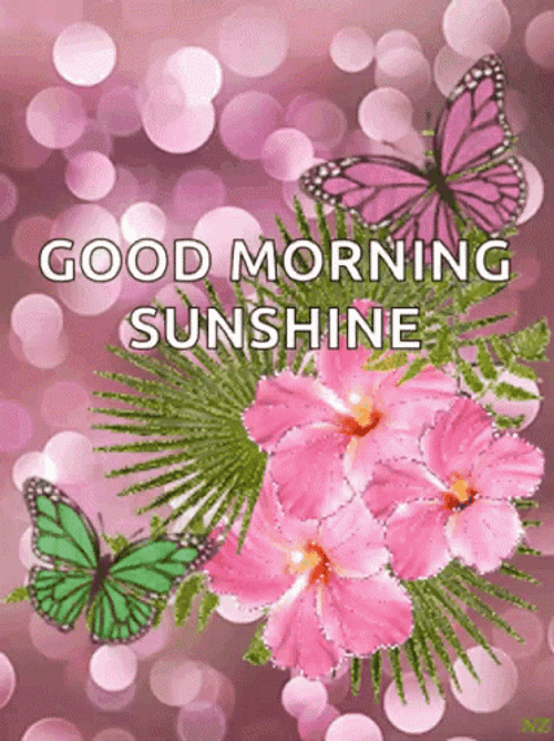 Good Morning Pink Butterfly GIF