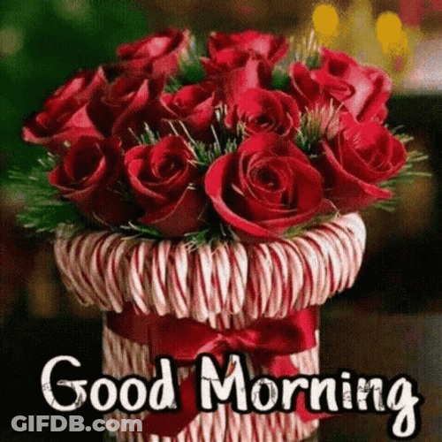 Good Morning Princess GIF