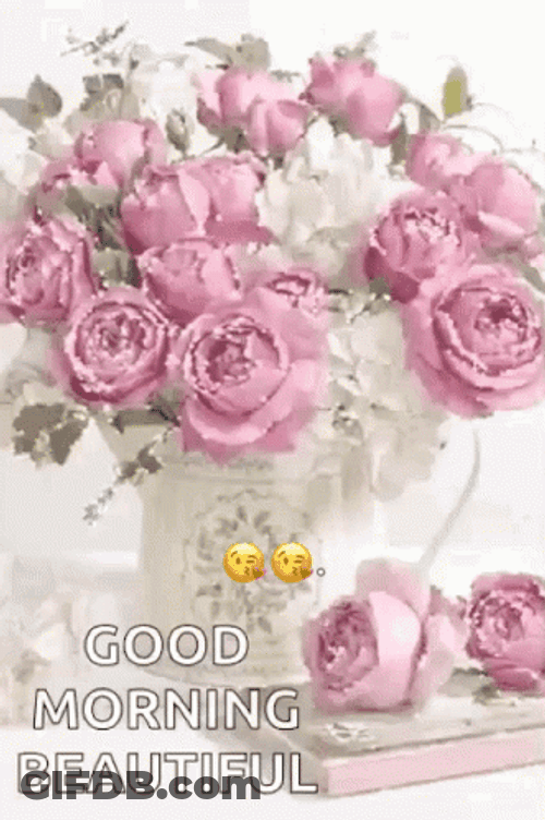 Good Morning Princess GIF