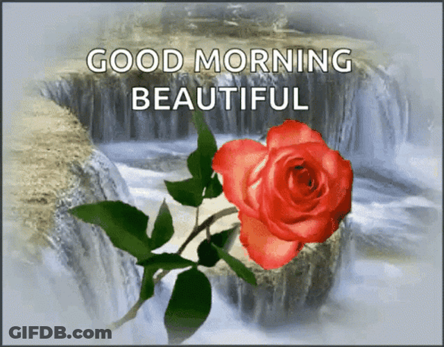 Good Morning Princess GIF