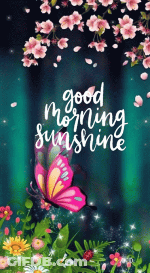 Good Morning Princess GIF