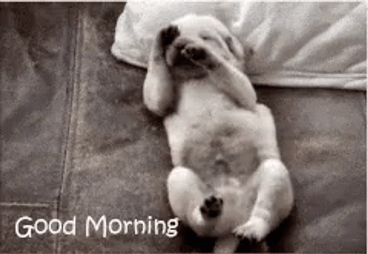 Good Morning Puppies Body Stretch GIF