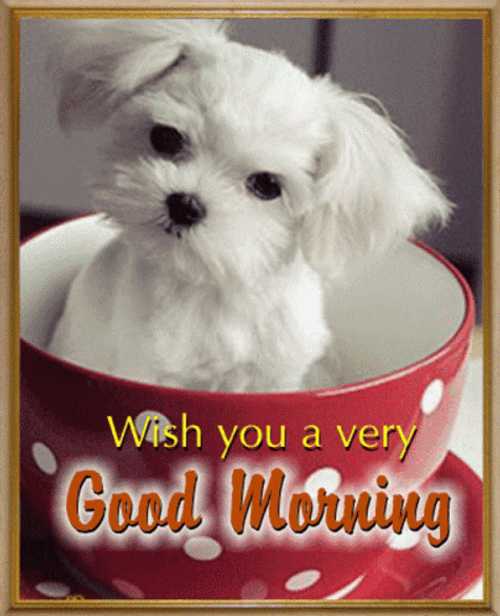 Good Morning Puppies Cute Coffee Cup GIF