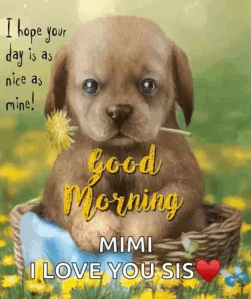 Good Morning Puppies Cute Quotes GIF