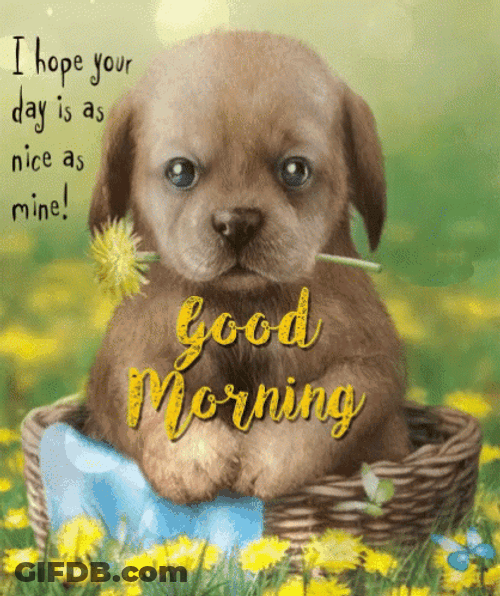 Good Morning Puppies Flower Garden GIF