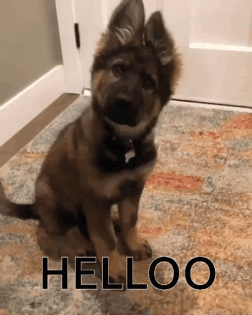 Good Morning Puppies Hello Bobbing Head GIF