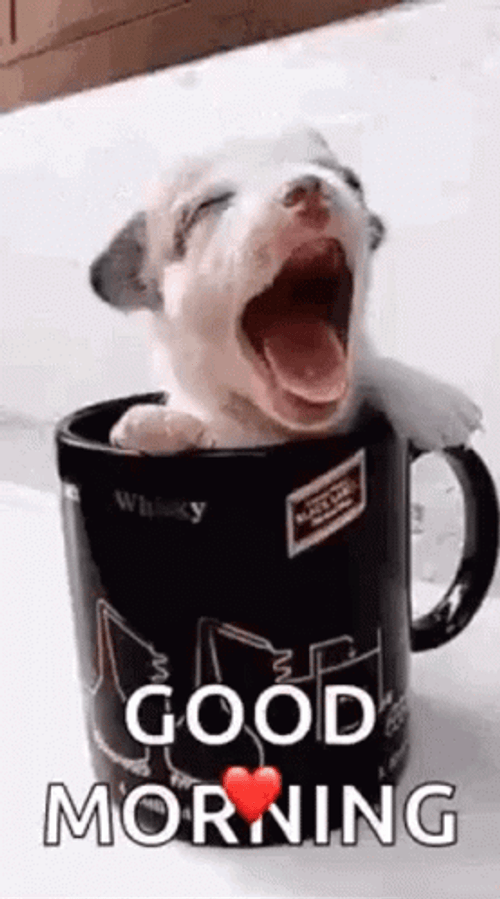 Good Morning Puppies Tired Cup GIF