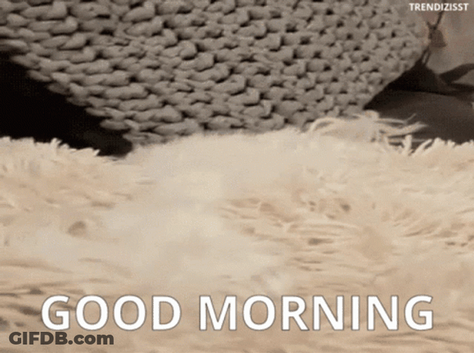 Good Morning Puppies GIF