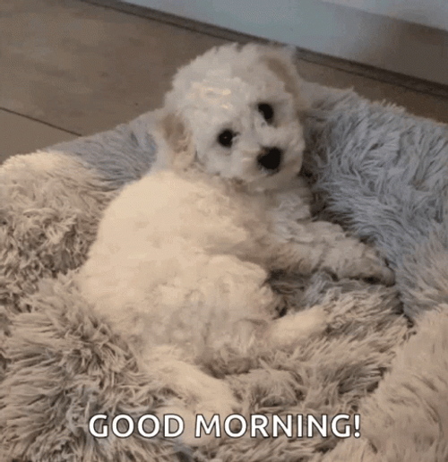 Good Morning Puppies Waving Paws GIF
