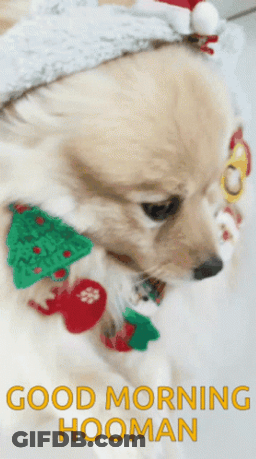 Good Morning Puppy Adorable Christmas Headband GIF