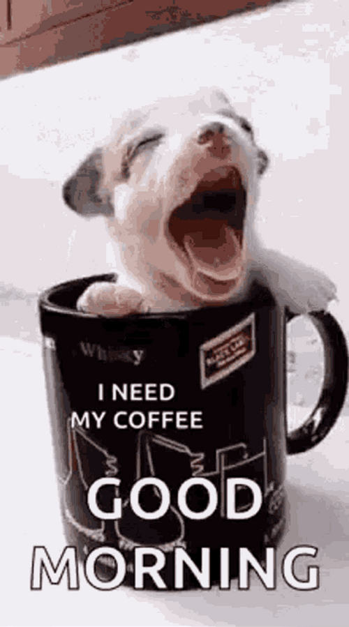 Good Morning Puppy In Coffee Cup GIF