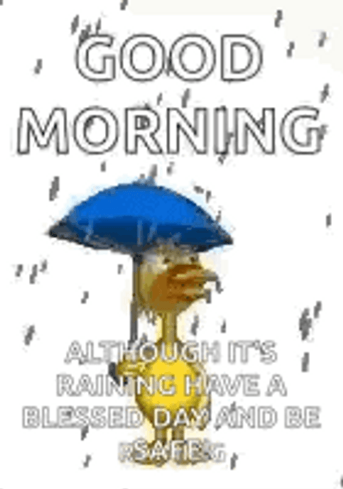 Good Morning Raining Lazy Saturday GIF