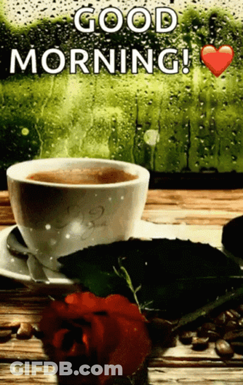 Good Morning Rainy Day Cup With Red Rose GIF
