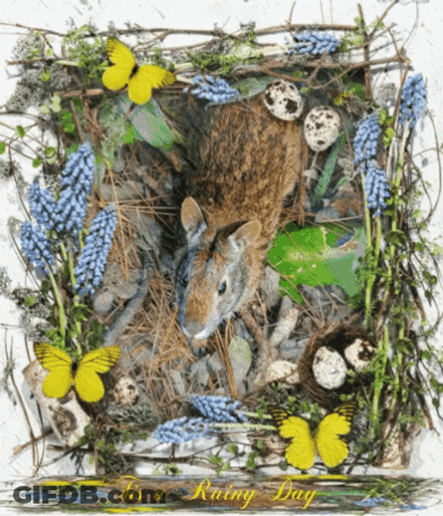 Good Morning Rainy Day Cute Squirrel GIF