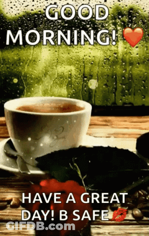 Good Morning Rainy Day Great Day GIF