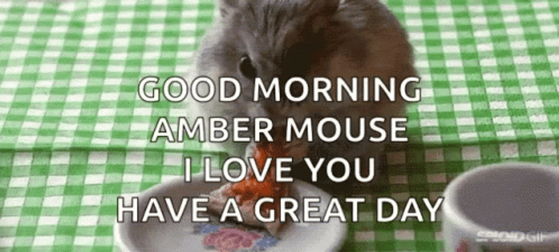 Good Morning Rat Eating Pizza GIF