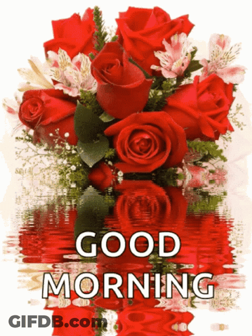 Good Morning Red Roses Bouquet GIF