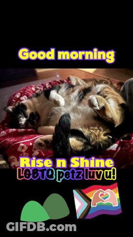 Good Morning Rise And Shine Pookie GIF