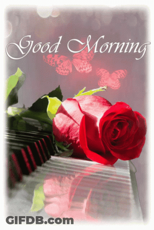 Good Morning Rose And Butterflies GIF