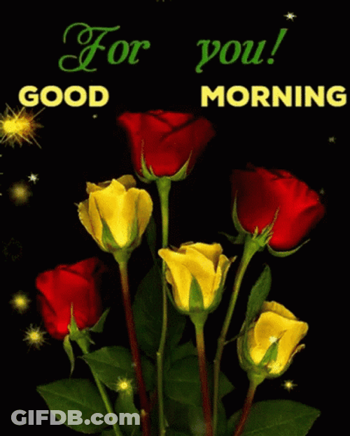 Good Morning Roses For You GIF