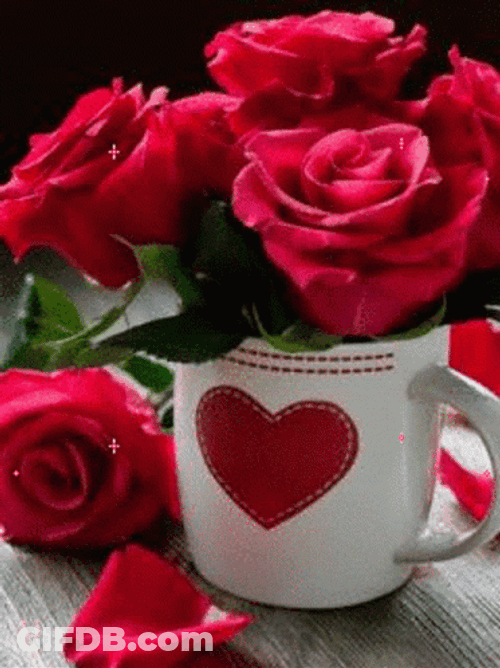 Good Morning Roses In A Cup GIF