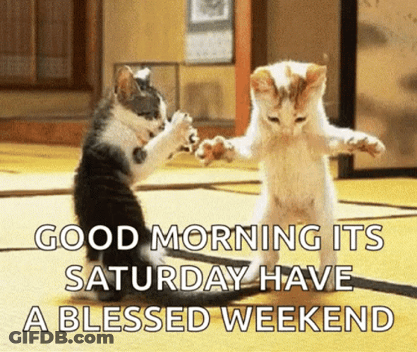 Good Morning Saturday Dance Couple Cats Kittens GIF