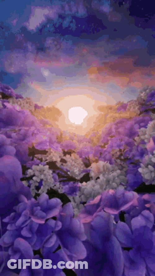 Good Morning Sea Of Flowers And Sunrise GIF