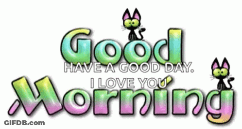 Good Morning Sign With Cat GIF