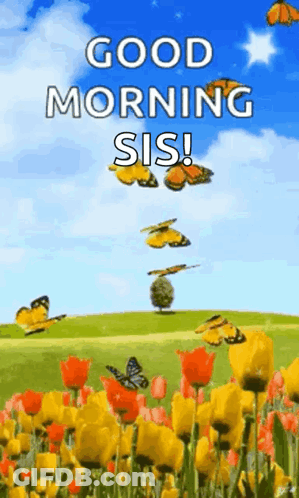 Good Morning Sis Greeting Card With Butterflies GIF