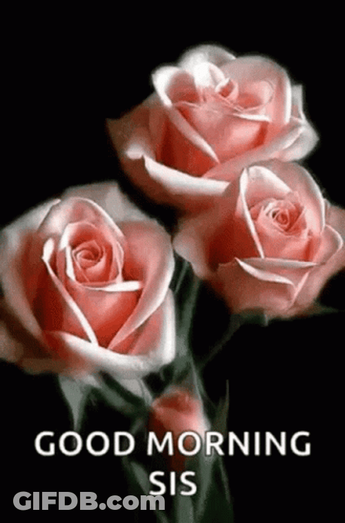 Good Morning Sister Blooming Pink Rose GIF