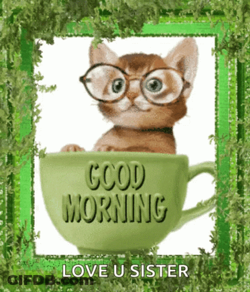 Good Morning Sister Cat GIF
