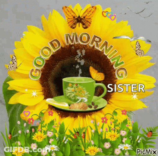 Good Morning Sister Sunflower GIF