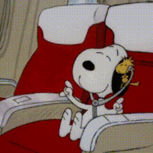 Good Morning Snoopy Good Morning GIF