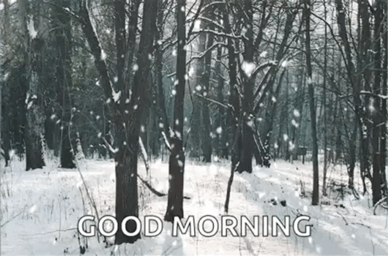 Good Morning Snow Beautiful Snow Flake GIF