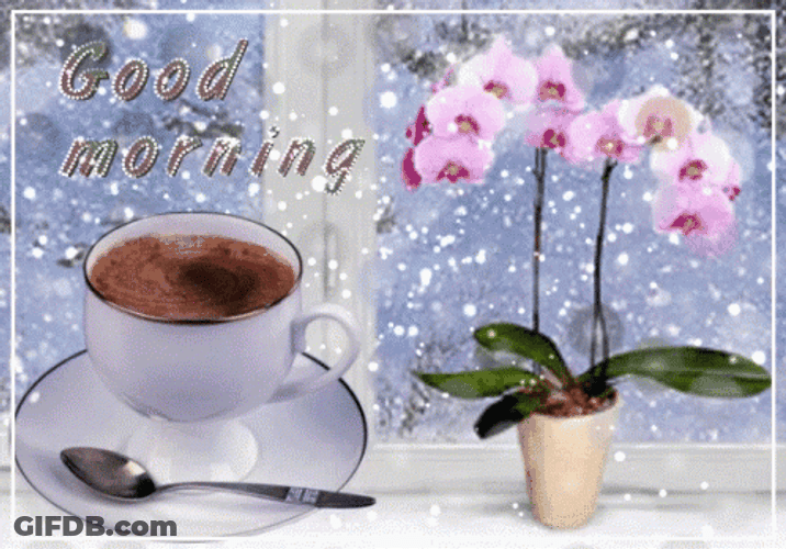 Good Morning Snow Coffee Flowers GIF