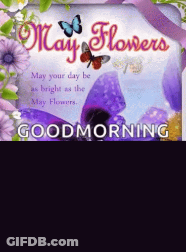 Good Morning Sparkles Thankful Thursday GIF