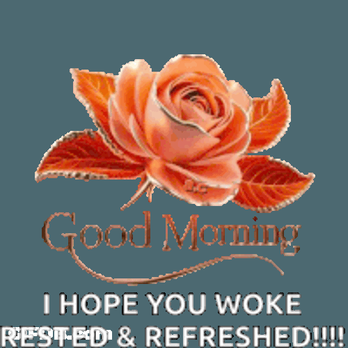 Good Morning Sticker GIF