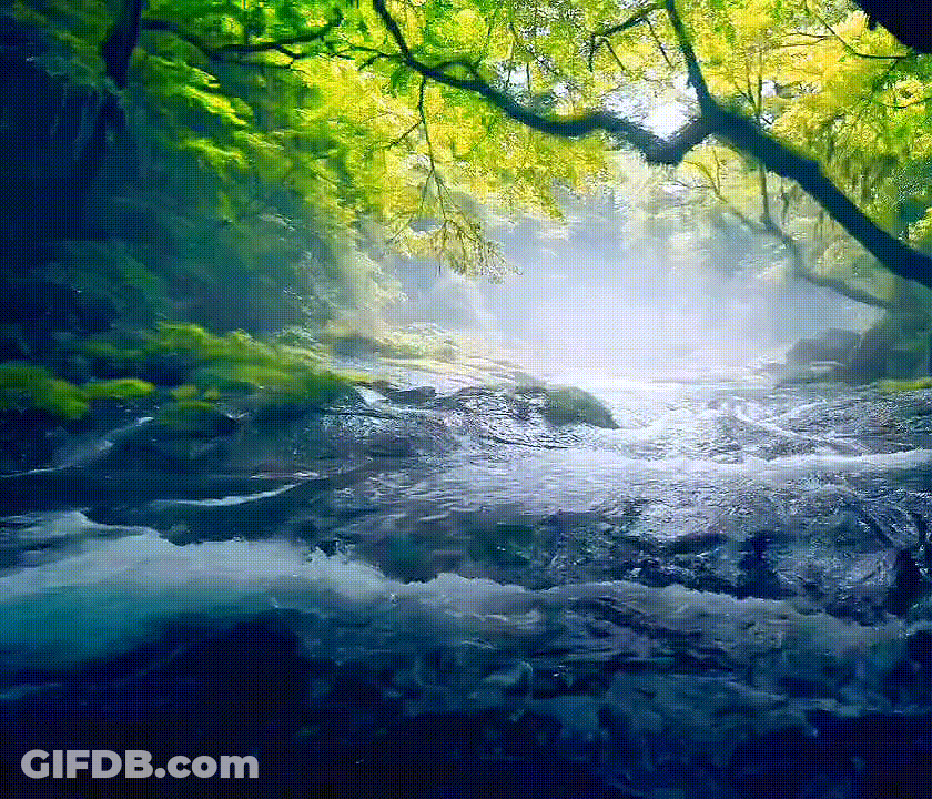 Good Morning/stream GIF