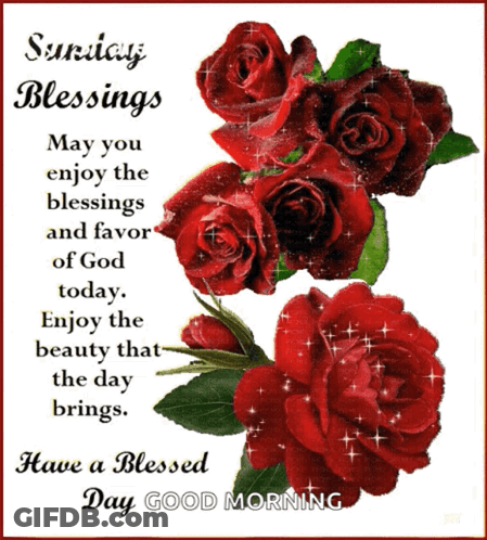 Good Morning Sunday Bird On Flower God Bless You GIF