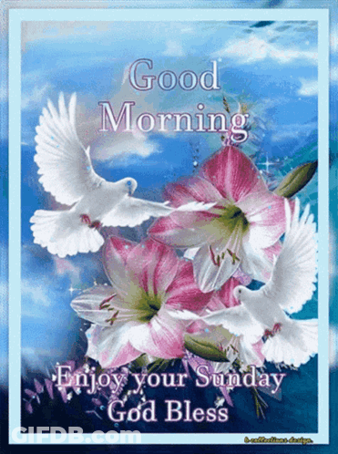 Good Morning Sunday Blessings Card GIF