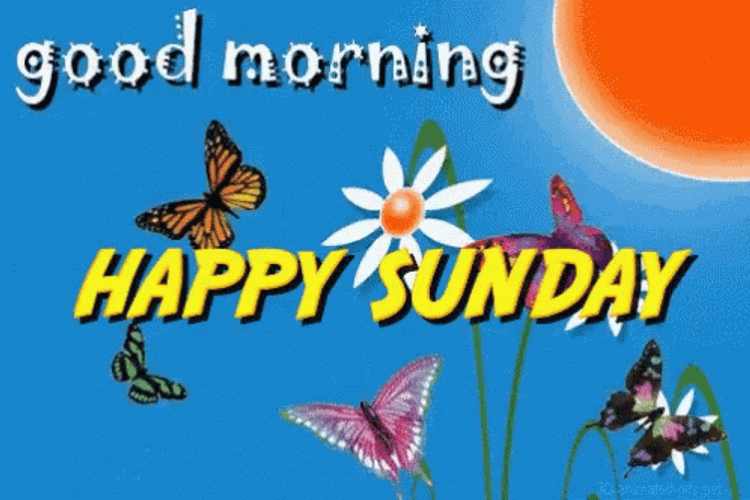 Good Morning Sunday Butterfly Garden GIF