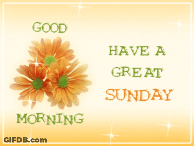Good Morning Sunday Great Day Sparkly Daisy GIF
