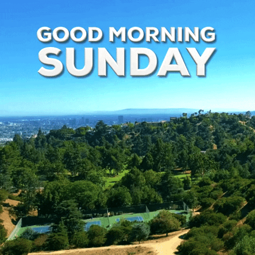 Good Morning Sunday Nature Peaceful View GIF