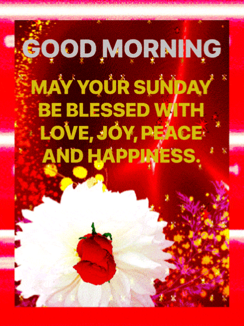 Good Morning Sunday Prayer Blessings Flowers GIF
