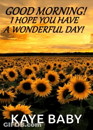 Good Morning Sunflowers GIF